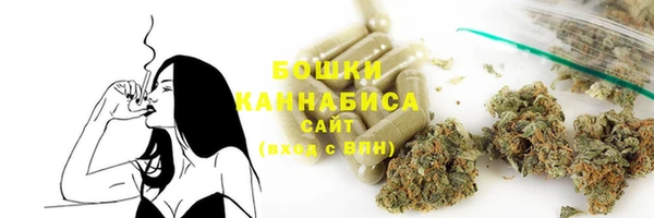 спайс Няндома