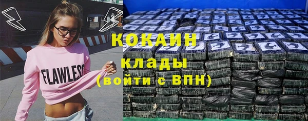 спайс Няндома