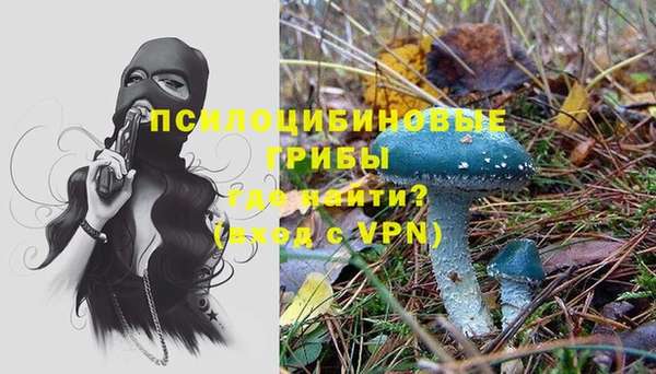 спайс Няндома