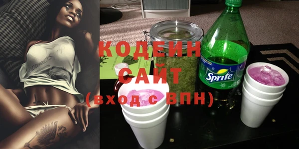 спайс Няндома