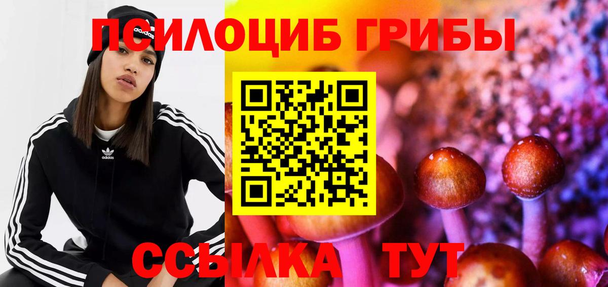 Екатеринбург  Псилоцибиновые грибы мицелий  Псилоцибиновые грибы Psilocybe  Вход с VPN 